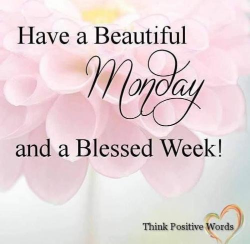 FB_IMG_1719227894020