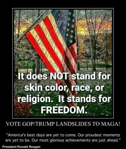 9b3a53e50afc5725