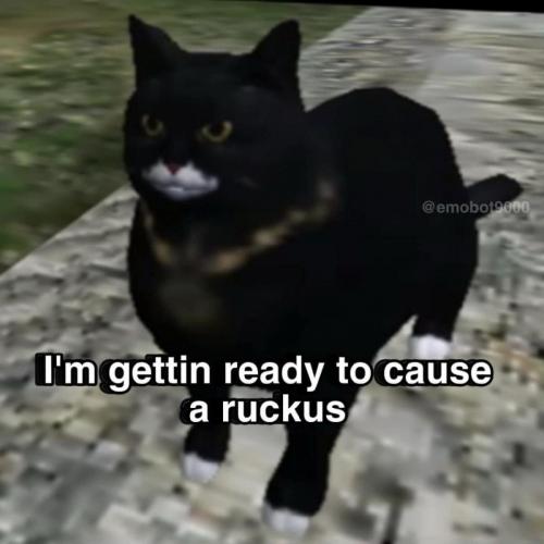 hfhjfhj