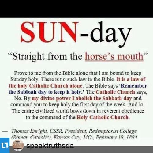 IMG_20240615_115806_279