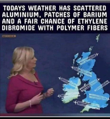 photo_2024-06-23_17-52-34