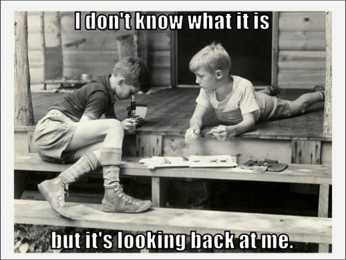 looking