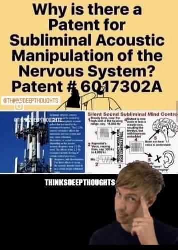 photo_2024-06-14_21-29-09