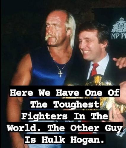 hulk and trump