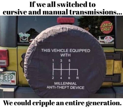 Millenial anti theft device
