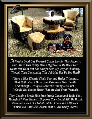 Tree Trunk Chairs and Table