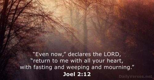 joel-2-12