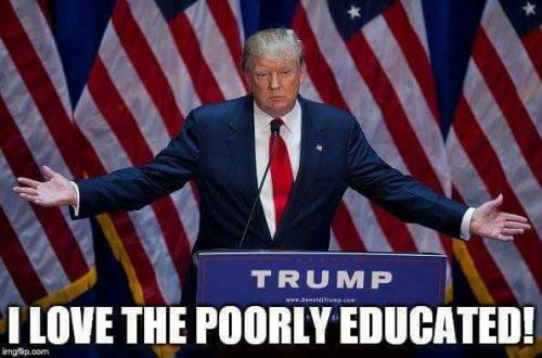IVY LEAGUE PRESIDENTS STUPID