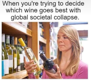 wine