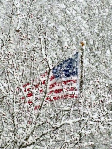 Flag - Through snow-covered trees 2