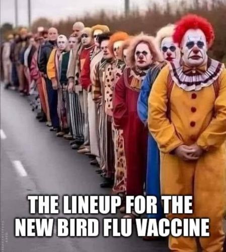 The lineup for the new bird flu vaccine.960px