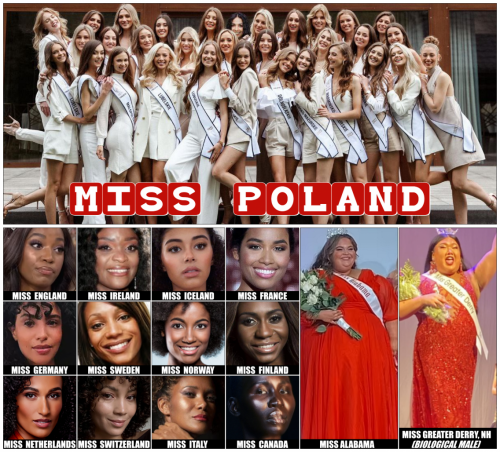 029ce17c50d36a76 (1)