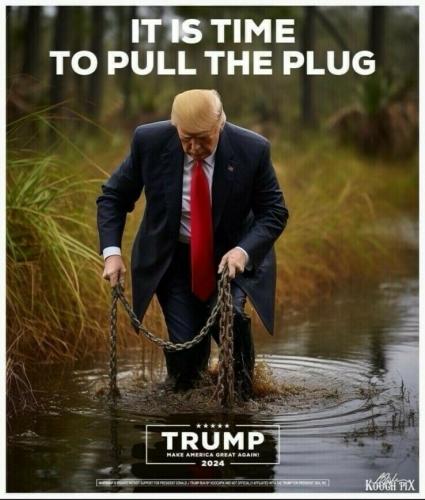 pull the plug