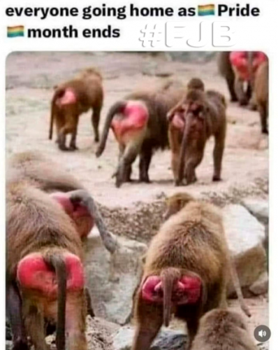 Pride Month Ends