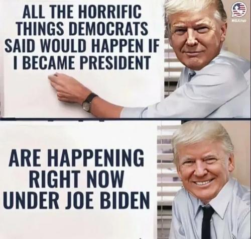 1000024596