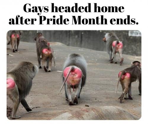 Gays headed home after pride month ends.960px