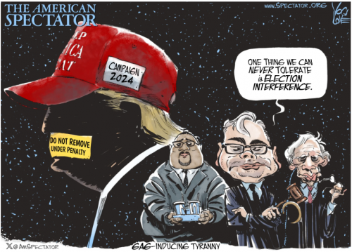 Trump -- Election Interference