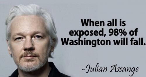 assange exposed
