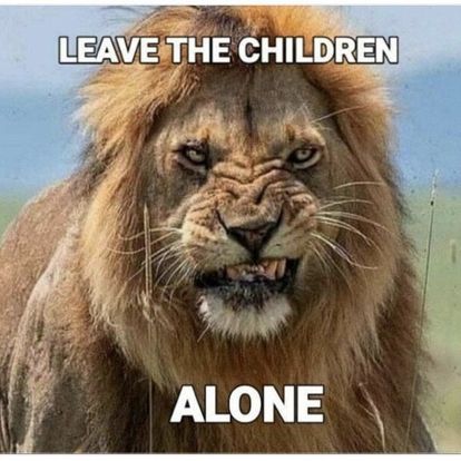 cb920554-8205-ca00-6346-e97f5071de47-lion leave children alone