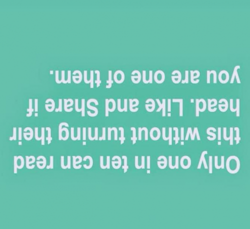 2a4e41f50a670e5d
