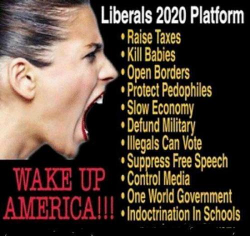 hay democrats 5