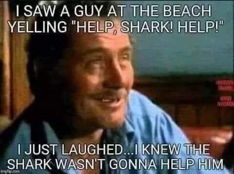 'Help, shark, help' - I knew the shark wouldn't help him
