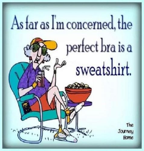 bra