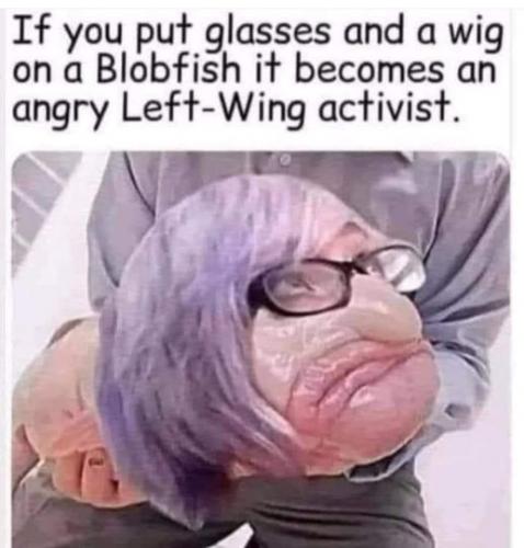 448049536_908443147713115_2782686864248415161_n