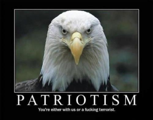 5d920aa7ed3917011191941dbc5e90f0_1024 patriotism