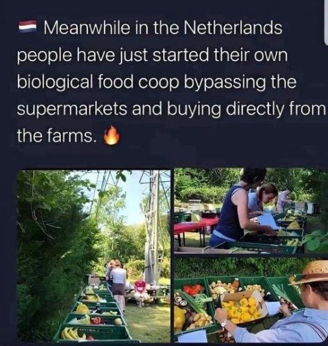 Netherlands