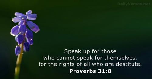 proverbs-31-8-2