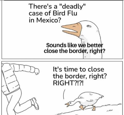 photo_2024-06-10_11-13-37