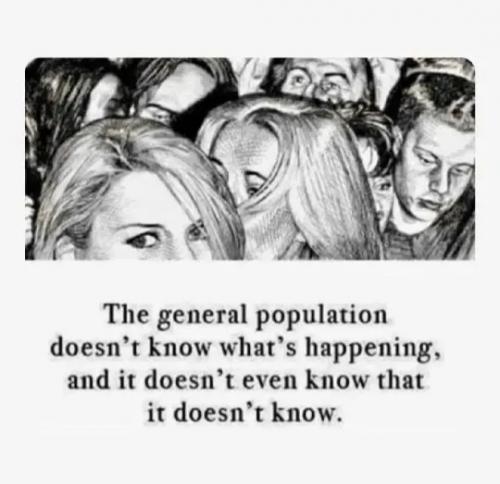 1000017278