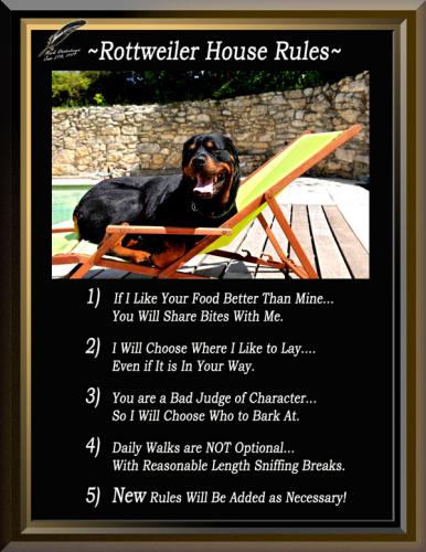 Rottweiler House Rules