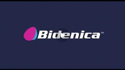 Bidenica screenshot