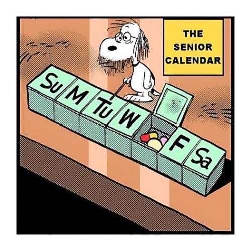 senior calendar