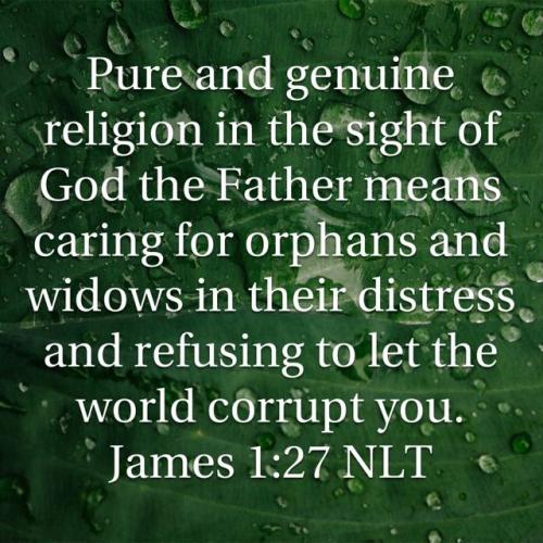 IMG_20240618_074306_388