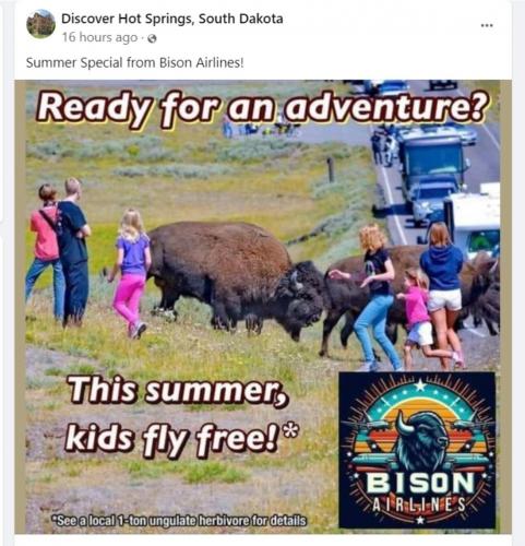 Summer Special from Bison Airlines.960px