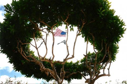 Flag - Punchbowl donut tree - 2008
