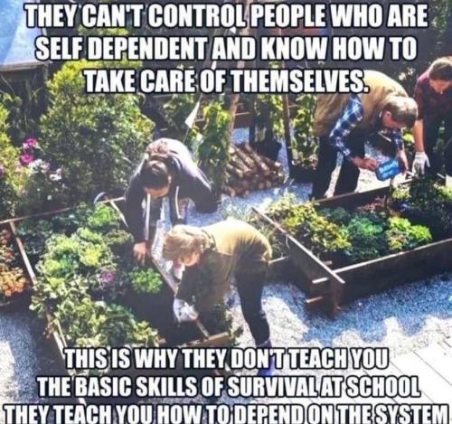Survival