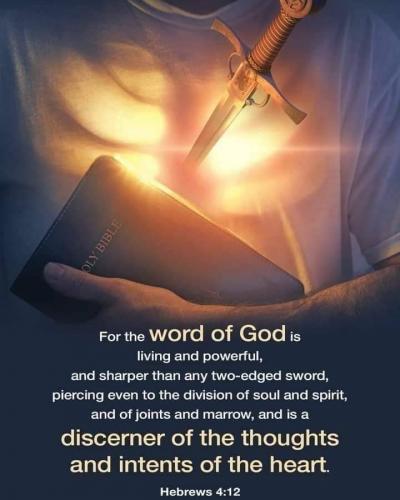 IMG_20240623_065810_543