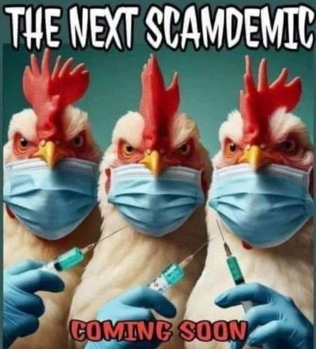 photo_2024-06-18_19-17-35