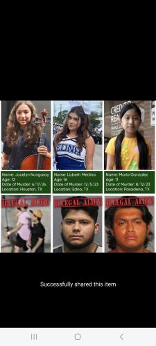 ILLEGAL KILLERS 4