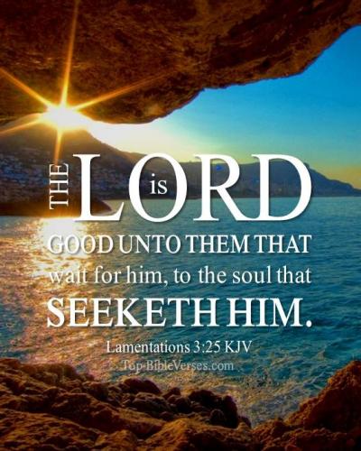 IMG_20240614_092219_142