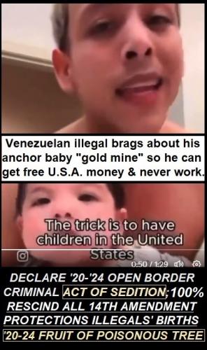 RESCIND '20-'24 ILLEGALS' BIRTHS 14TH AMEND