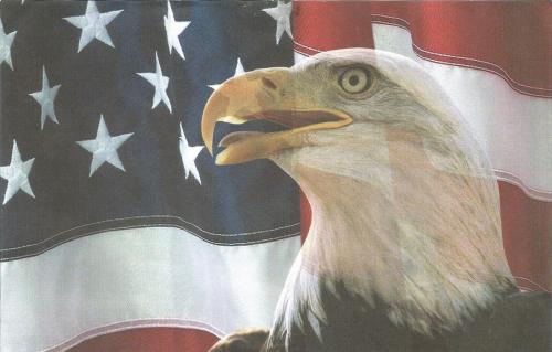 Flag - With eagle