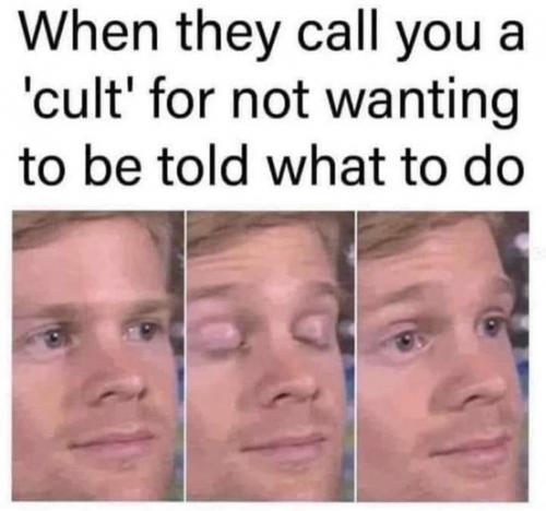 447418270_464071746272616_238839102810133715_n