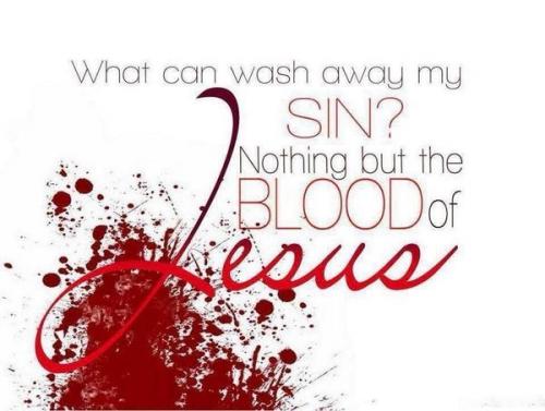 IMG_20240603_110558_159