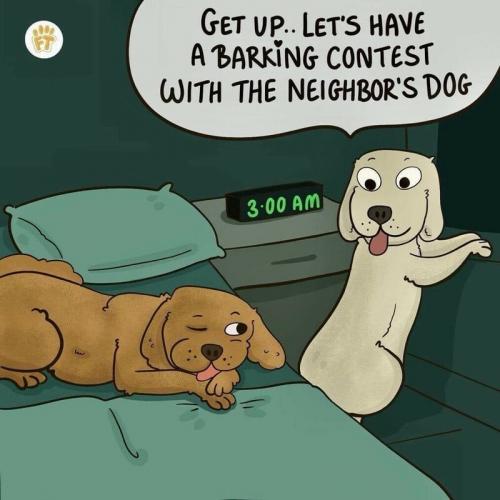 bark