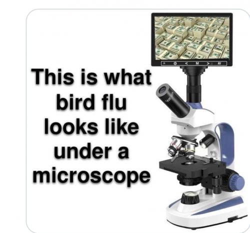 1000017826